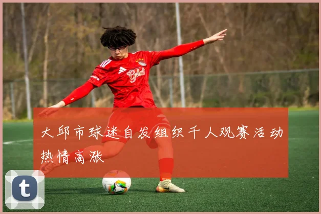 大邱市球迷自发组织千人观赛活动热情高涨