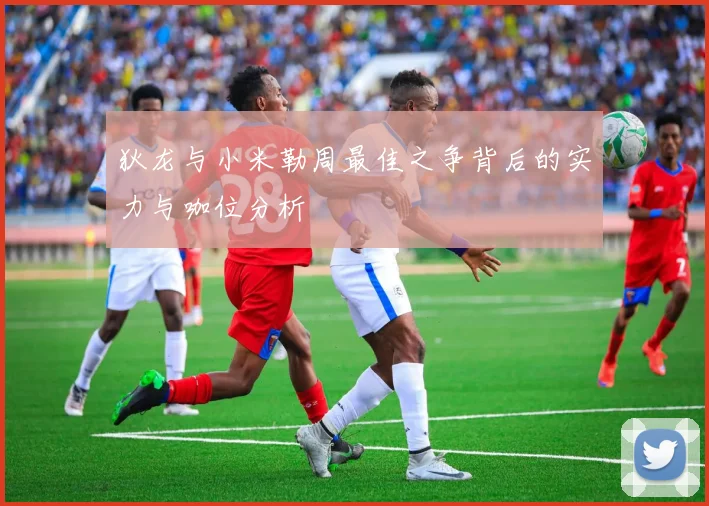 狄龙与小米勒周最佳之争背后的实力与咖位分析